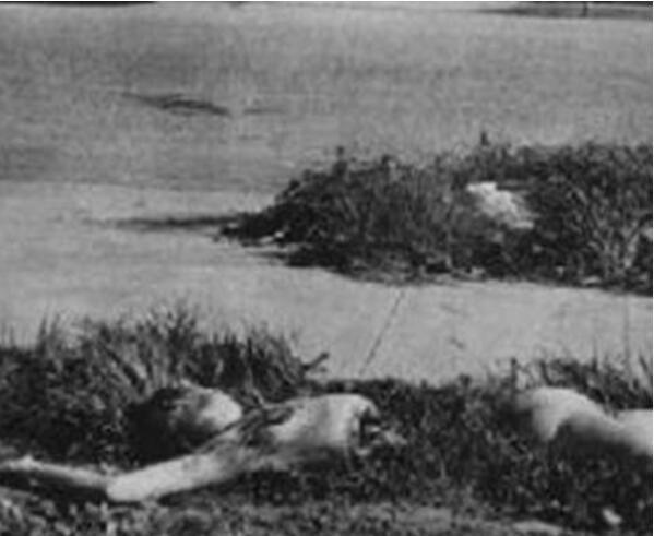 三大塞西尔酒店恐怖故事 蓝可儿事件 黑色大丽花都有