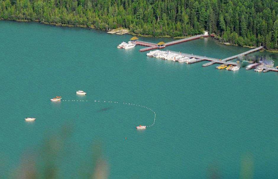 哲罗鲑鱼图片简介 喀纳斯哲罗鲑最大能有多大