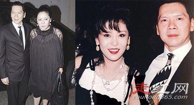 向华强陈岚的爱情故事 年轻的照片是什么样子的