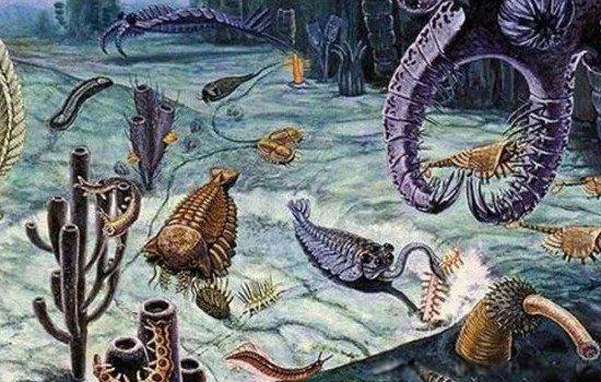 鬼吹灯霍氏不死虫图片 现实中真的存在吗