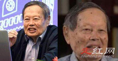 翁帆个人生理需求怎么解决 为杨振宁产下一子是真的吗