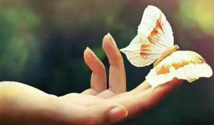 看淡一切善待自己的经典句子 无所谓让心归零的洒脱说说