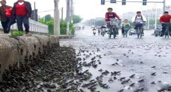 汶川地震几级 具体时间是哪一年发生的