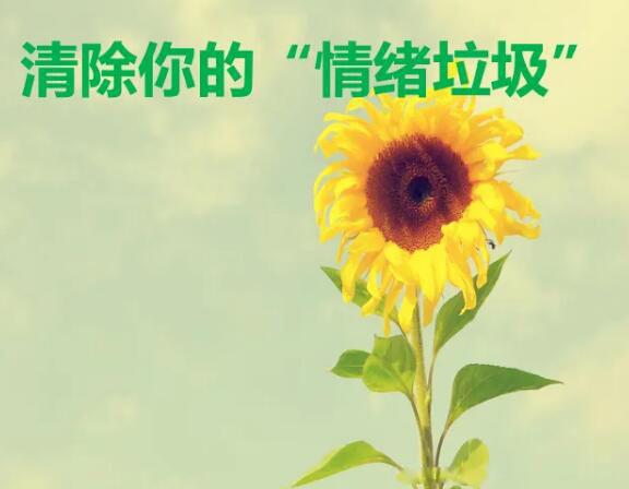 树洞是什么意思 我想做你的树洞啥意思解释