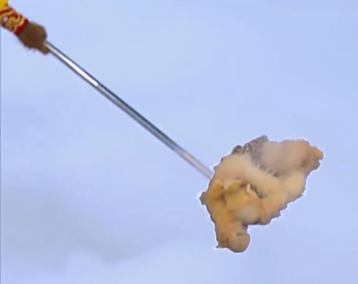 真假美猴王是第几集 死的到底是哪个是真孙悟空吗