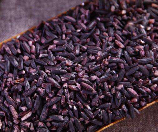 胭脂米是什么米现在还有吗 胭脂米多少钱一斤