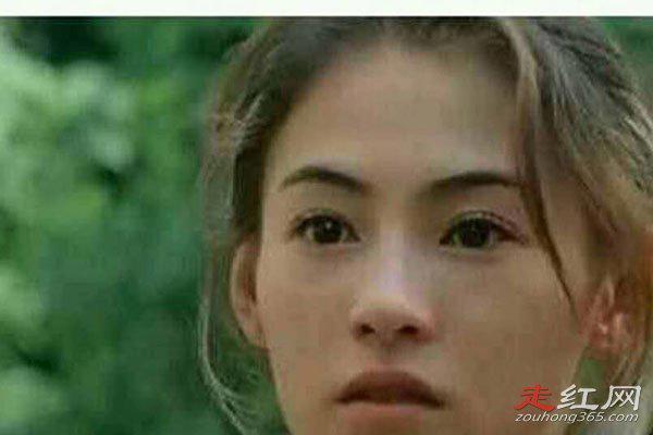 张柏芝原图艳阳照怎么回事 两个孩子都是谢霆锋亲生的