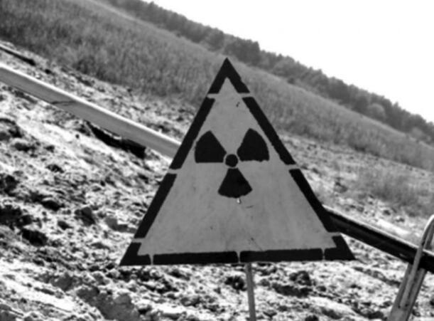 切尔诺贝利核电站事件 变异巨鼠吃人是真的吗