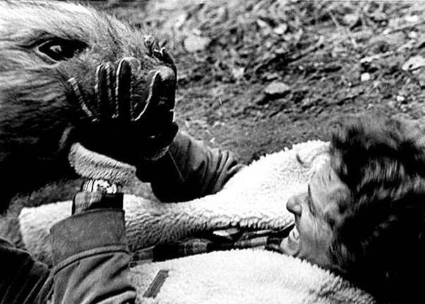 切尔诺贝利核电站事件 变异巨鼠吃人是真的吗