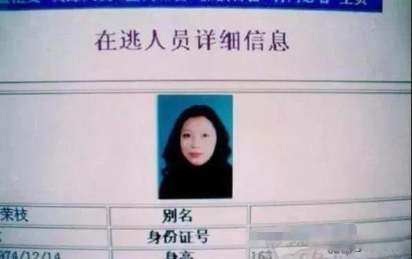 法子英劳荣枝案件详细经过 19岁放弃安稳生活亡命天涯