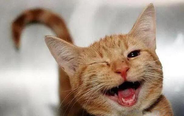 笑话大全哄女朋友开心 15条逗妹子开心的幽默段子