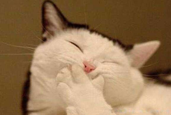 笑话大全哄女朋友开心 15条逗妹子开心的幽默段子