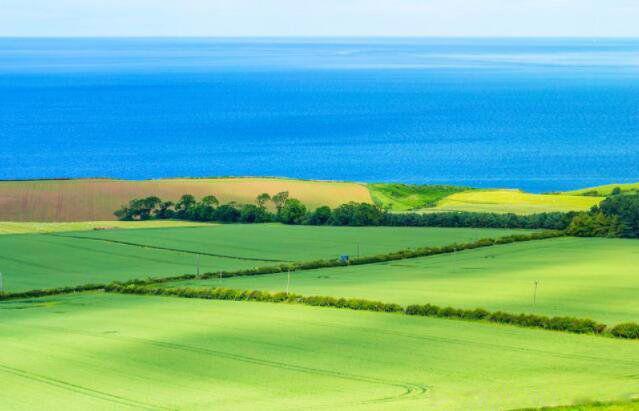 人生最好是小满的寓意 为什么说人生最好的状态是小满