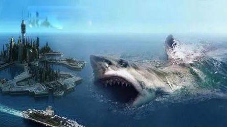 世界上最大的鱼排名前六 第1名鲸鲨体长12.65米