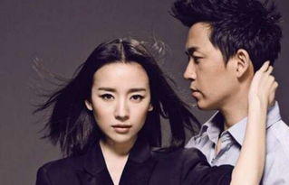 王大治和董洁不拉窗帘事件 他俩演过什么电视认识的