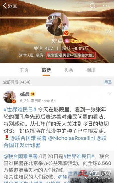 恶之花姚晨是什么意思 恶之花事件是怎么回事