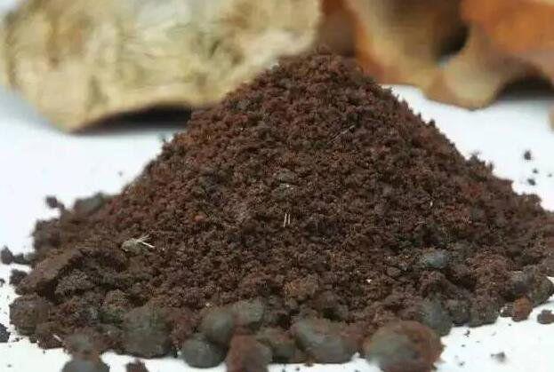 麝香是啥动物身上的东西 哪个部位取出来的