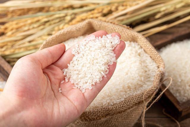 袁隆平人物事迹和精神 是一个什么样的人