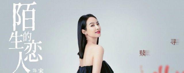 陌生的恋人演员表介绍 结局是什么讲的什么故事