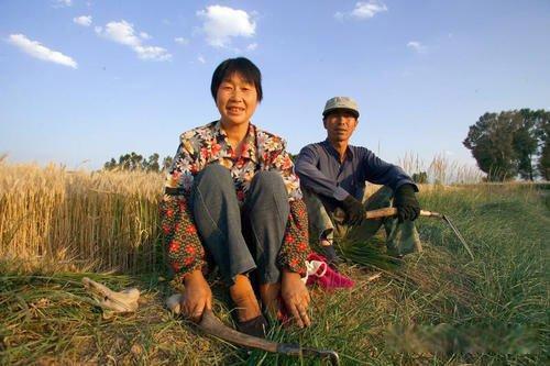 西部计划有什么好处 报考事业编考试直接加6分