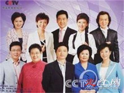 央视主持人工资前10排行榜 多少钱一个月
