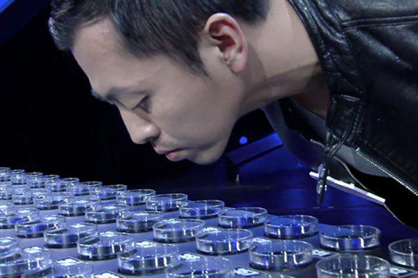 水哥最强大脑哪一季 王昱珩为什么这么厉害