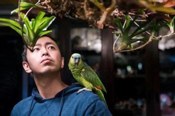 水哥最强大脑哪一季 王昱珩为什么这么厉害