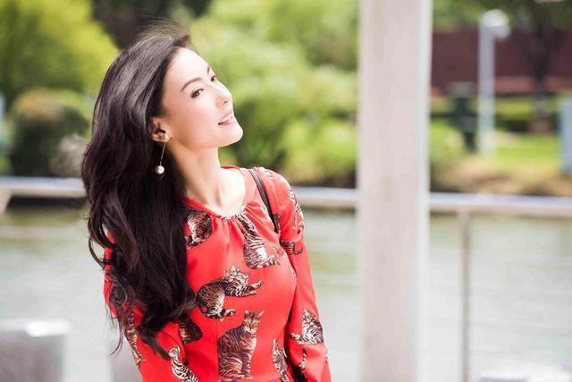 张柏芝第三胎老公是谁 第三个公子小蝌蚪找爸爸事件