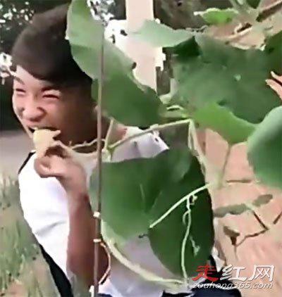 社会你胜哥手怎么断的 最恶心的一次视频是生吃懒蛤蟆