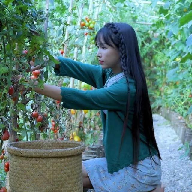 李子柒怎么不更新了 突然停更了应该有以下原因