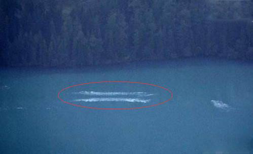 四川瓦屋山水怪到底是什么 水库大蛇真相之谜大揭秘