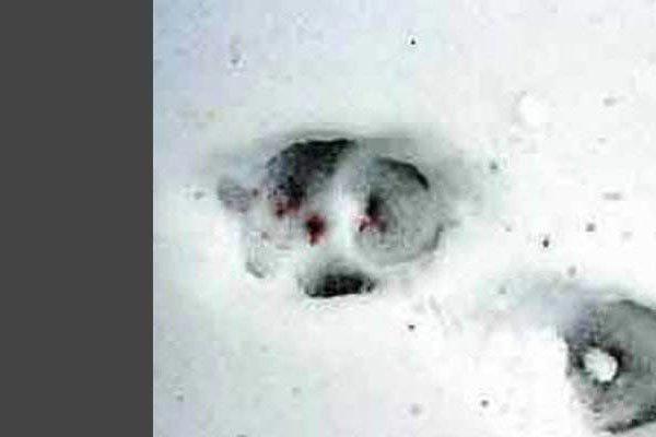 华航怪异事件录音是真的吗 遇难者的语音留言