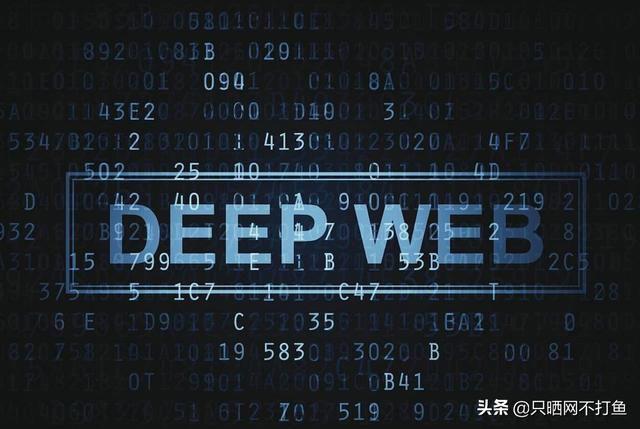 暗网是什么网站 怎么才能进暗网是真实存在的吗