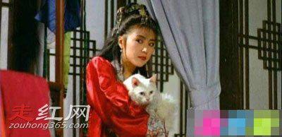 金瓶风月李婉淑的资料年龄 已经淡出了娱乐圈