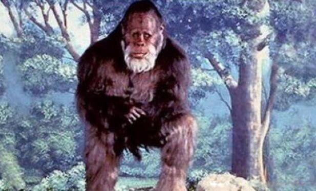 神农架野人真实照片 1976神农架野人目击事件是否存在