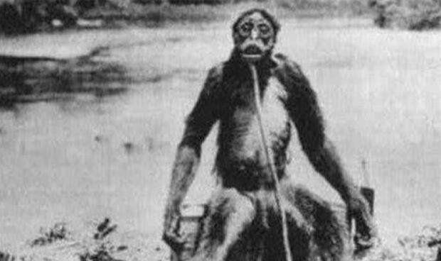 神农架野人真实照片 1976神农架野人目击事件是否存在