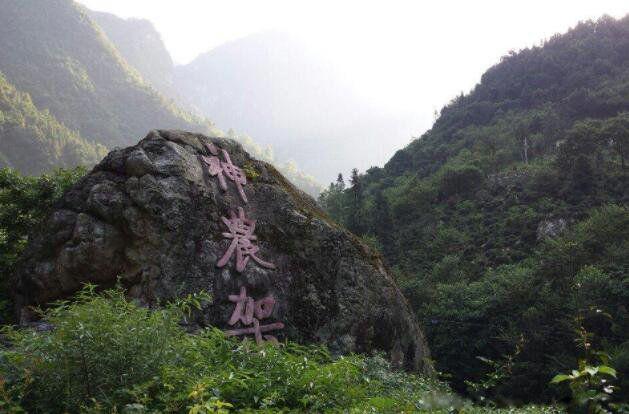 神农架野人真实照片 1976神农架野人目击事件是否存在