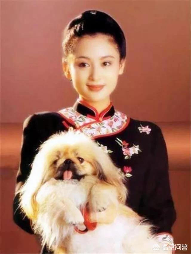 演员陈红结过几次婚 现任老公是谁