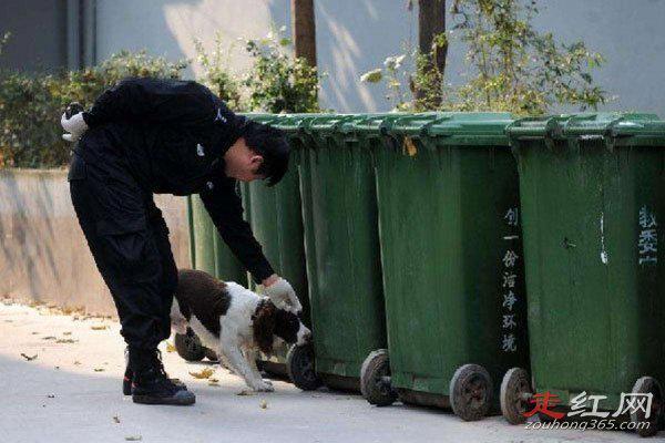 南大碎尸案破了吗 有图慎入刁爱青图片看了想吐