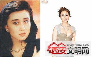 何超云到底是谁生的 她真的是利智生的和利智对比图