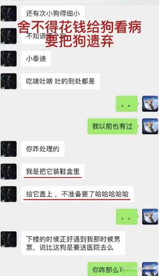 郑爽事件怎么回事 被永久封了复出不可能了