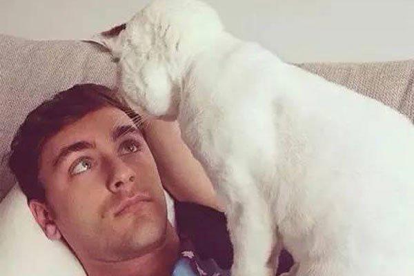 养猫的男人可怕吗 为什么说男人不能养猫有什么后果