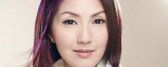 杨千嬅个人资料简介 唱功什么水平专业评价