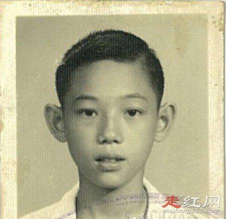 香港杨受成个人资料简历 是什么人物黑社会吗