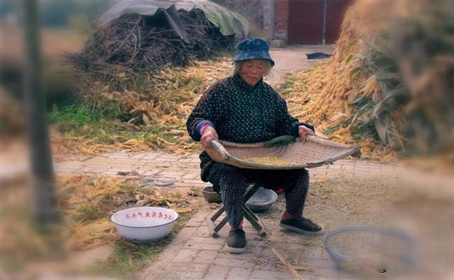 65到70农民每月补贴多少钱 农民都有参加这些基础保障