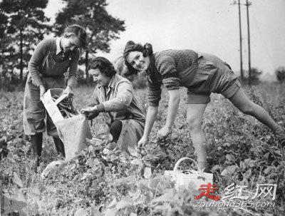 米莉·库珀怎么服务的 本来是有老公的