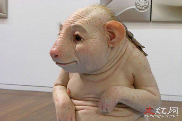 云南母猪生下8个男孩是真的吗 会有猪人被生出来吗