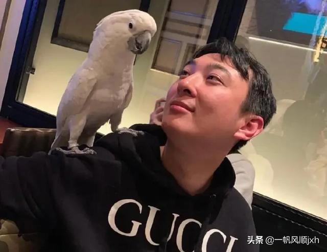 王思聪和林更新是啥关系 林宁是林更新的亲姑姑