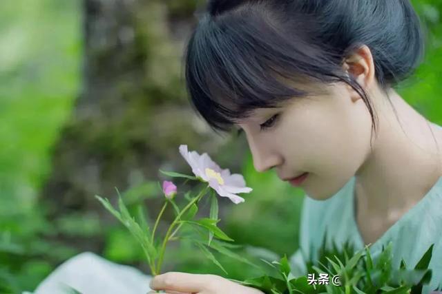 李子柒事件是怎么回事 超级大网红突然停更了