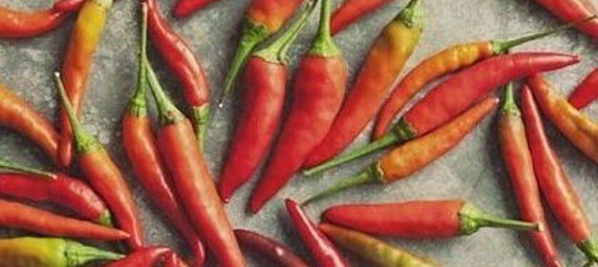 十大辣椒辣度排行榜 龙息辣椒排名第几到底有多辣